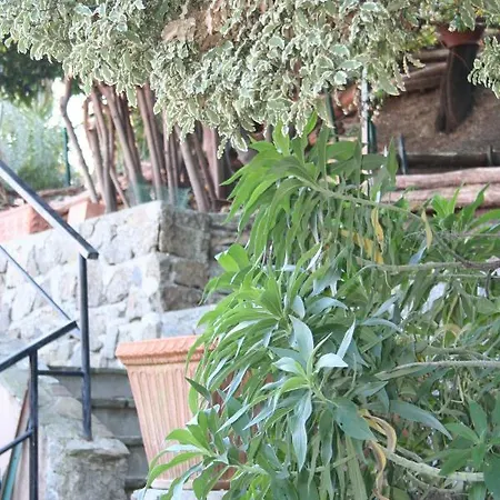 Maria Villa *