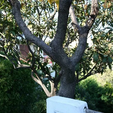 Maria Villa Spotorno
