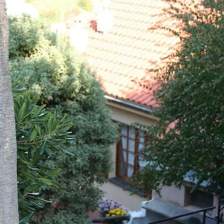 Villa Maria Spotorno